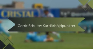 Gerrit Schulte: Karriärhöjdpunkter