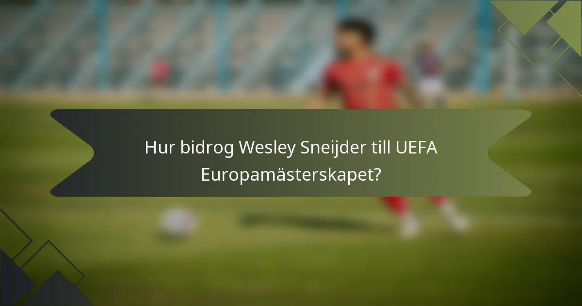 Hur bidrog Wesley Sneijder till UEFA Europamästerskapet?