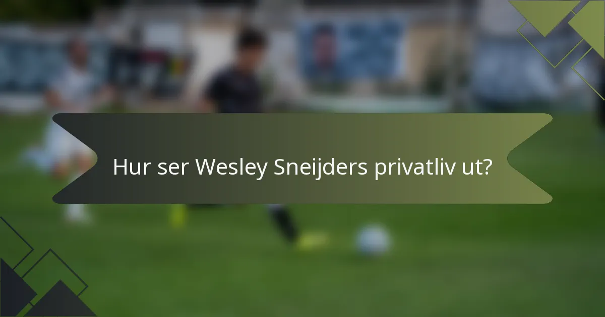 Hur ser Wesley Sneijders privatliv ut?
